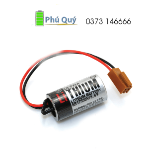 Pin nuôi nguồn PLC 2/3A 3.6V